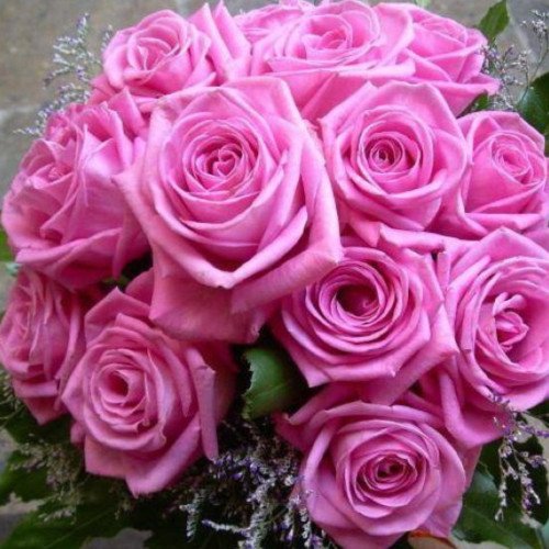 Аква (Aqua) чайно-гібридна троянда. Photo 3